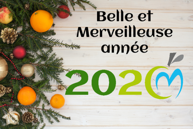 Bonne année 2020 Cécile Michaud diététicienne nutritionniste